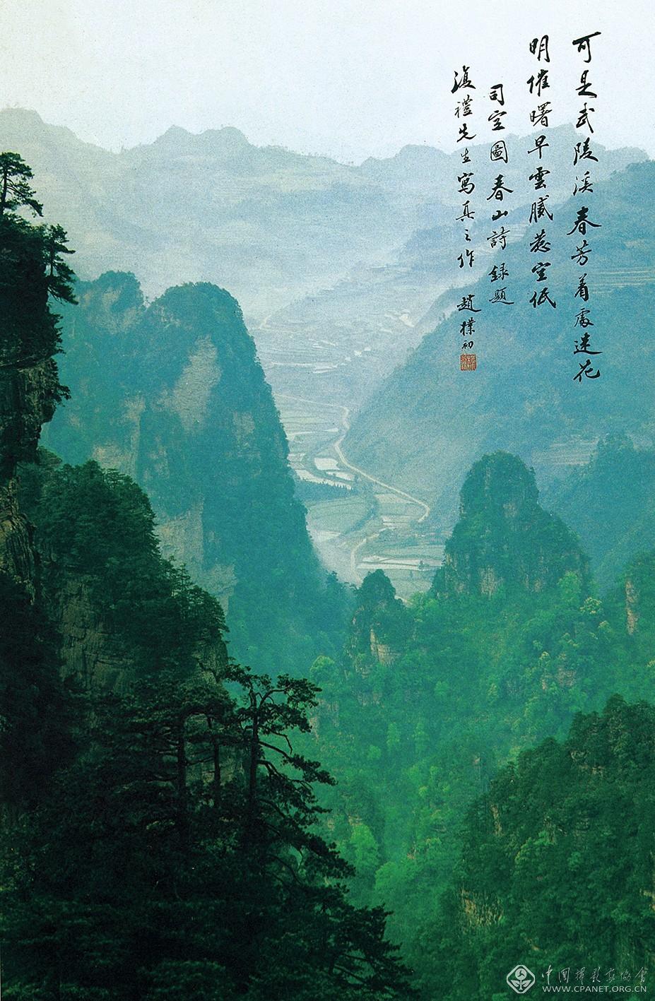 陳復禮作品1 青山（趙樸初題字）.jpg